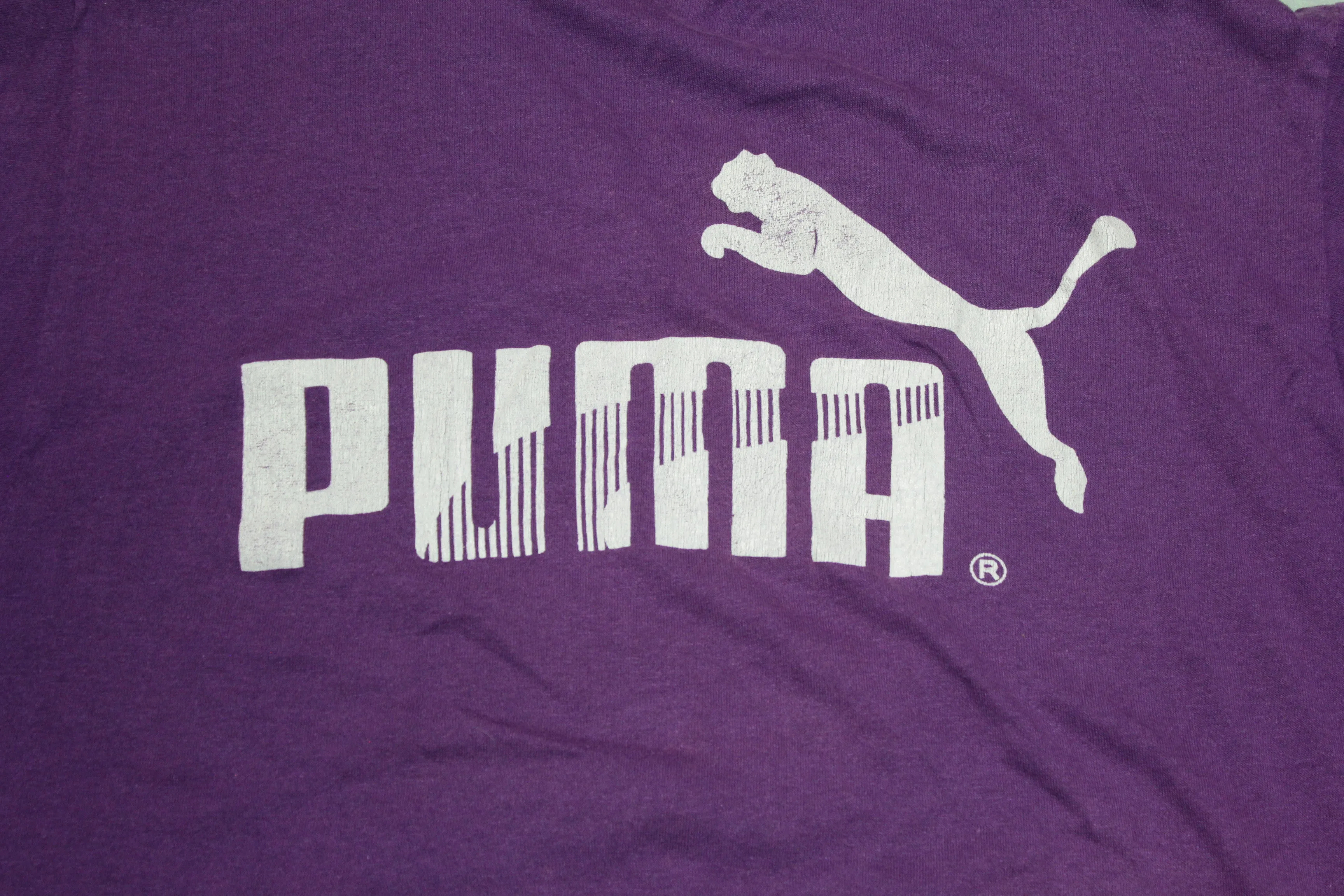 AC Green Basketball Camp Puma Vintage Single Stitch 80's L.A. Lakers T-Shirt