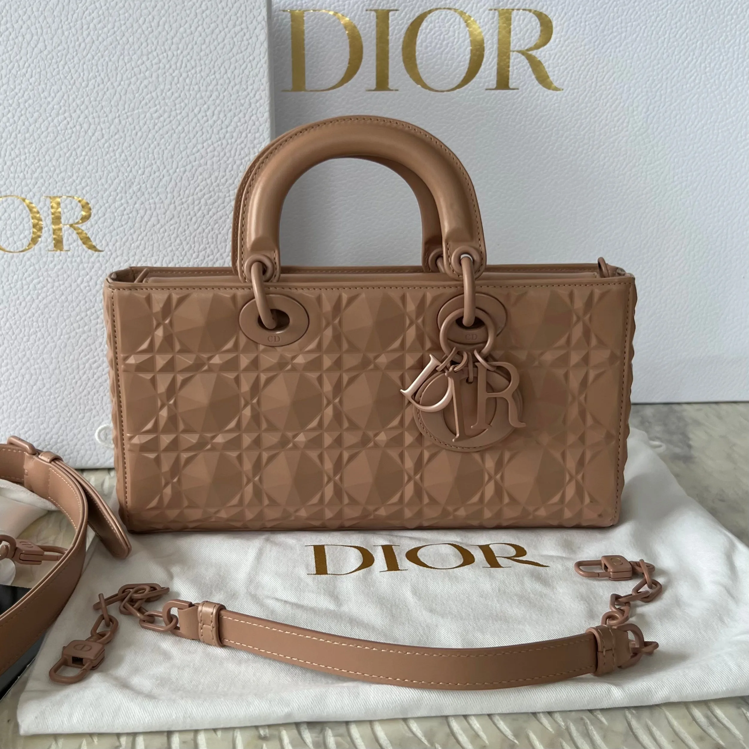 Christian Dior Lady D-Joy Bag