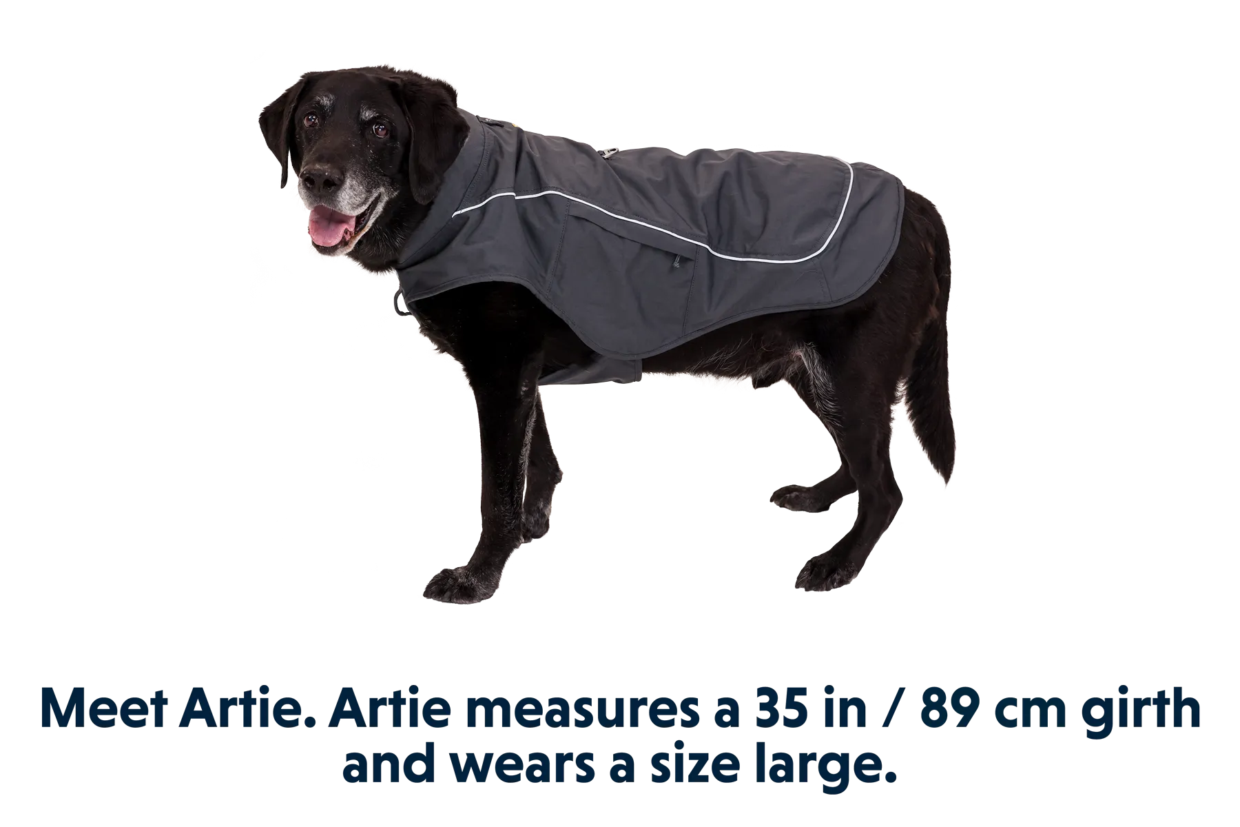 Overcoat Fuse™ Dog Jacket