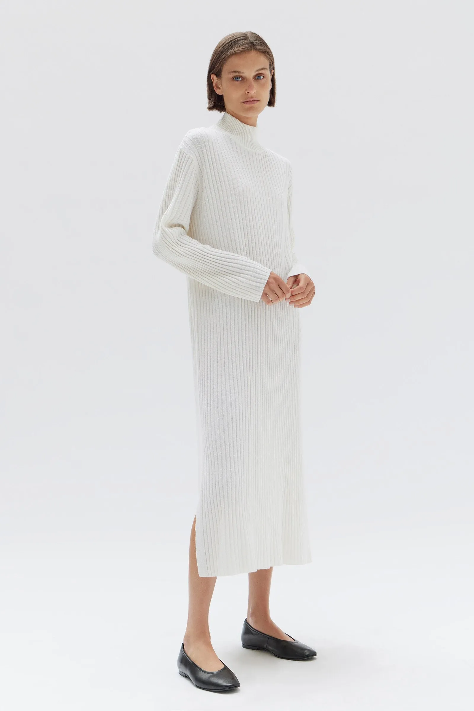 Pearl Roll Neck Knit Dress