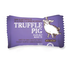 Truffle Pig Piglets